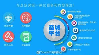 既b2c又b2b2c的移动电商模式,你了解多少